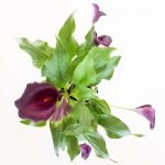 Calas de colores - Imagen 2
