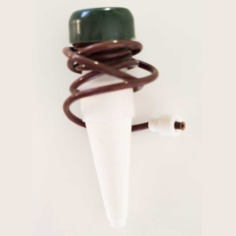 Helecho con riego automático - Imagen 3