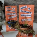 Halloween - Plantas carnívoras - Imagen 4