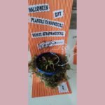 Halloween - Plantas carnívoras - Imagen 10