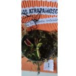 Halloween - Plantas carnívoras - Imagen 9