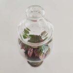 Terrarium - Esencia de bosque - Imagen 10