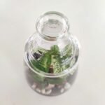 Terrarium - Esencia de bosque - Imagen 6