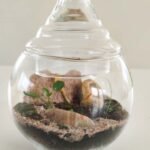 Terrarium - Esencia de bosque - Imagen 5