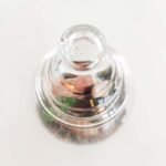 Terrarium - Esencia de bosque - Imagen 3